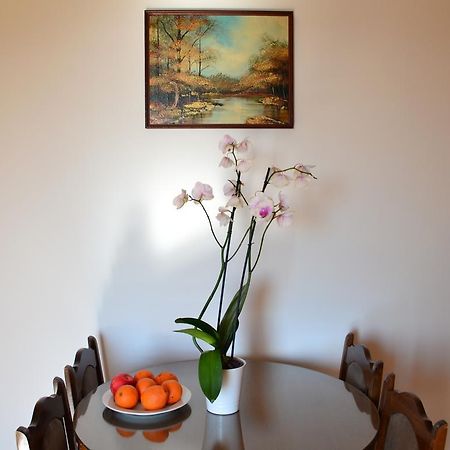 Apartment Matea Petrovac Eksteriør bilde