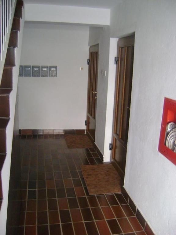 Apartment Matea Petrovac Eksteriør bilde